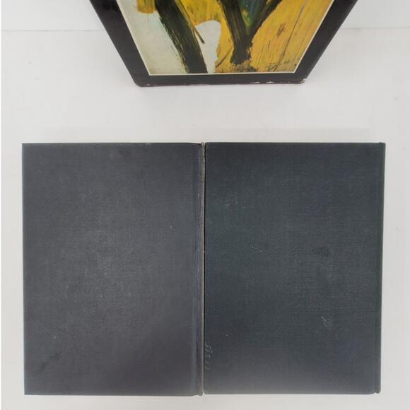Painting in the Twentieth Century Warner Hoffmen 1966 two books set Hardcover - Picture 4 of 12